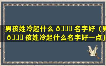 男孩姓冷起什么 🐛 名字好（男 🕊 孩姓冷起什么名字好一点）